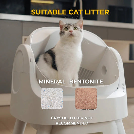 cat in the litter box with images of mineral and bentonite litter that can be used. Crystal litter not recommended