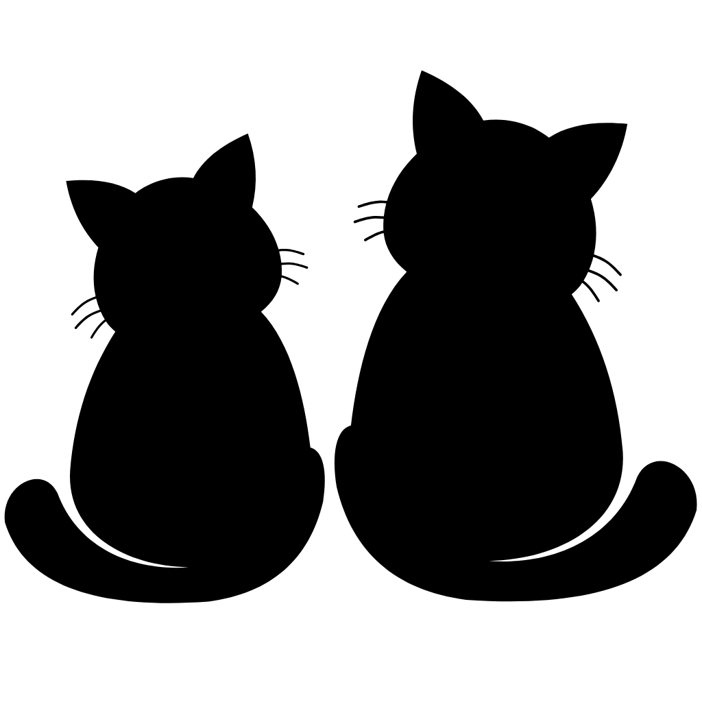The 6 Best Low-Shedding Cat Breeds for a Cleaner, Happier Home