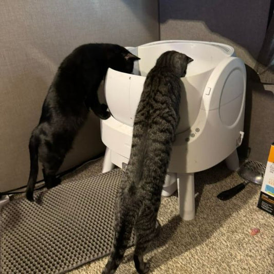 Happi Scooper Self-Cleaning Litter Box
