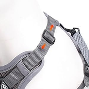 Cozy Cat Adventure Harness