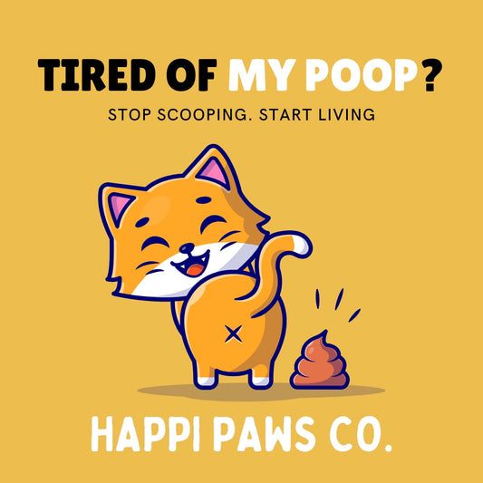 The Top 5 Cat Litter Box Nightmares—and How to Solve Them