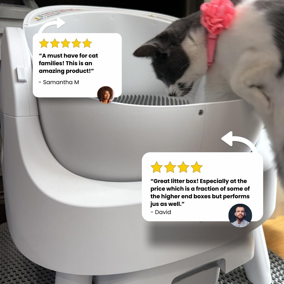 Happi Scooper Self-Cleaning Litter Box
