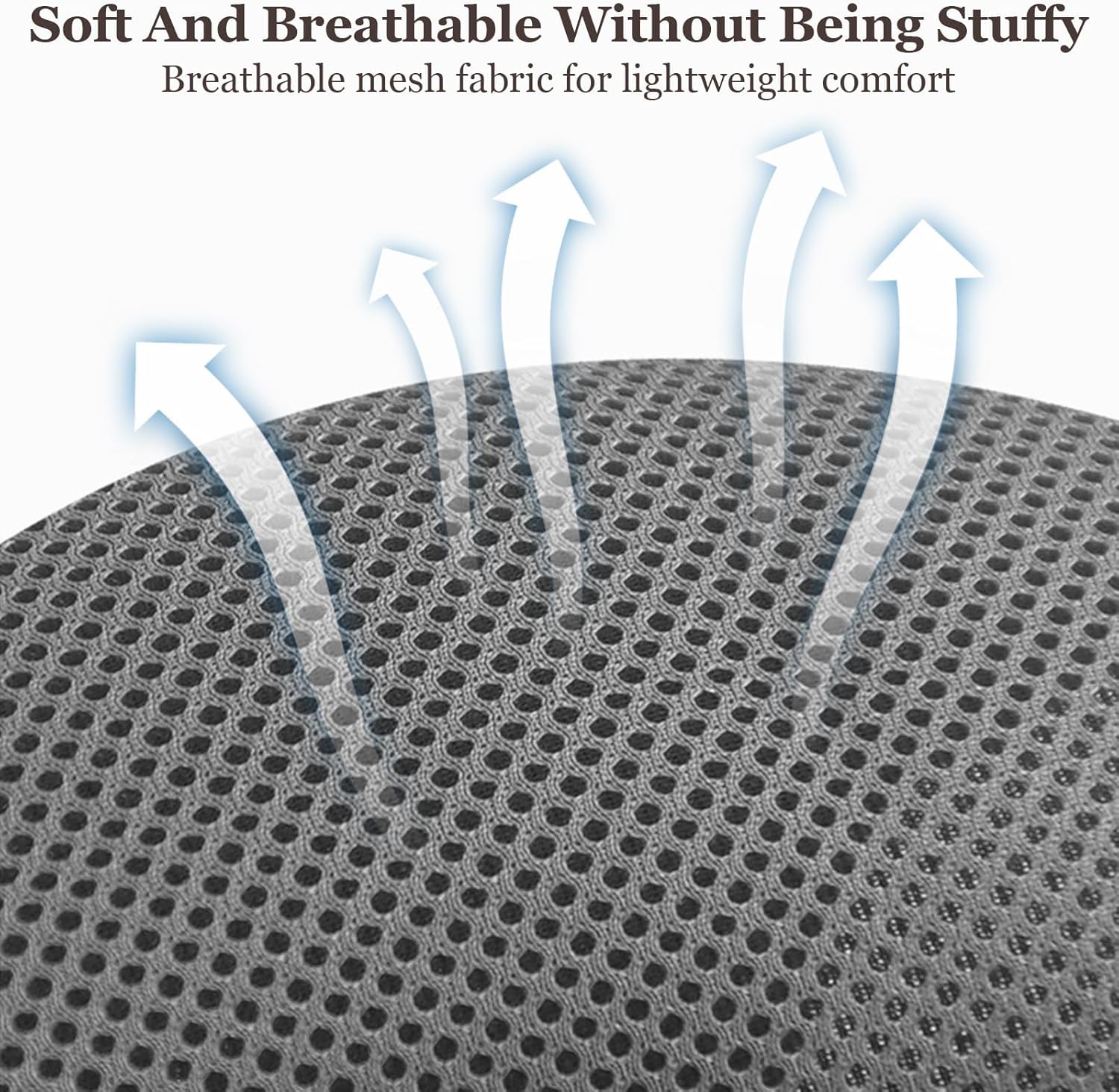 Cat Adventure Harness w Leash