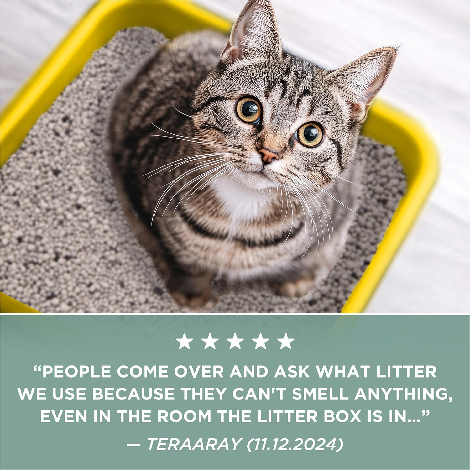 Tidy Cats Litter 35lbs.