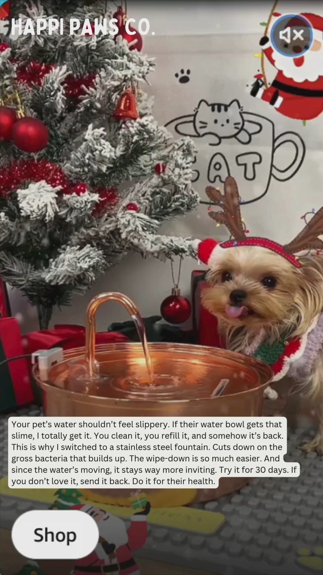 Load video: video of dog using fountain